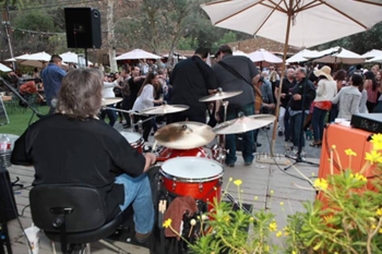 Gallery photo 3 of Chico's Bail Bonds Band