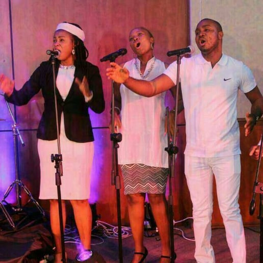Gallery photo 2 of Chimex Music