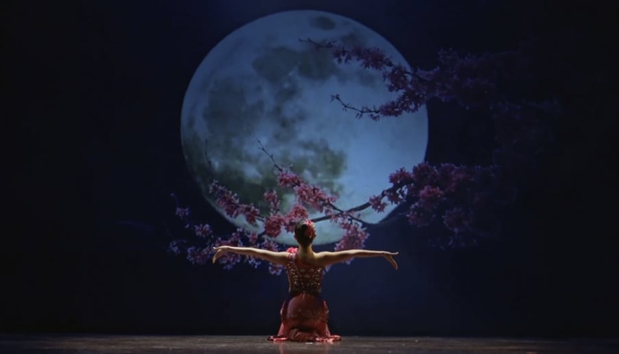 Gallery photo 1 of Chinese Traditional Dance