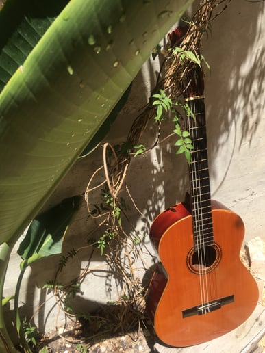 Gallery photo 4 of Chord Yoga: Solo (Jazz) Guitar & Bands