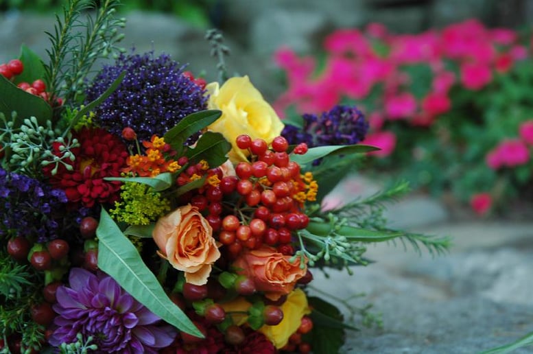Gallery photo 2 of Photographer & Planner, Sumana C