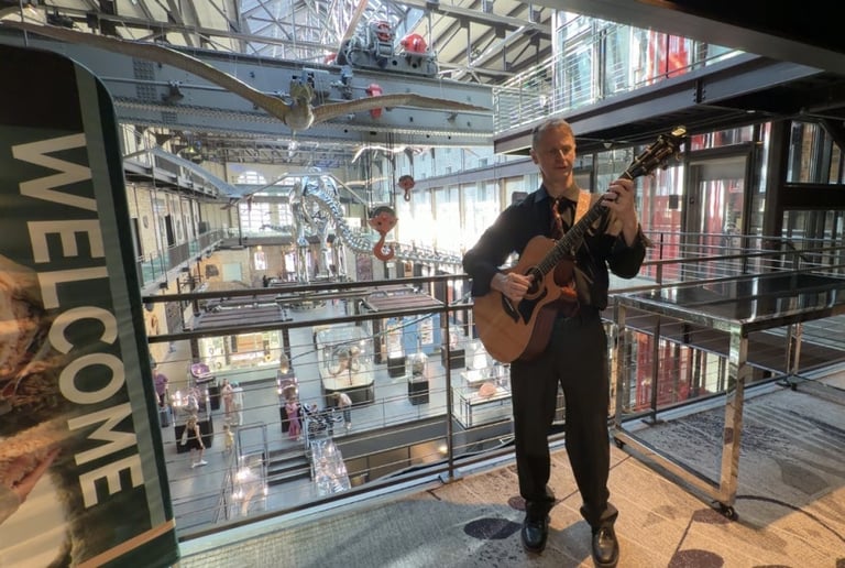 Gallery photo 3 of Chris Cavendish - Solo Guitarist