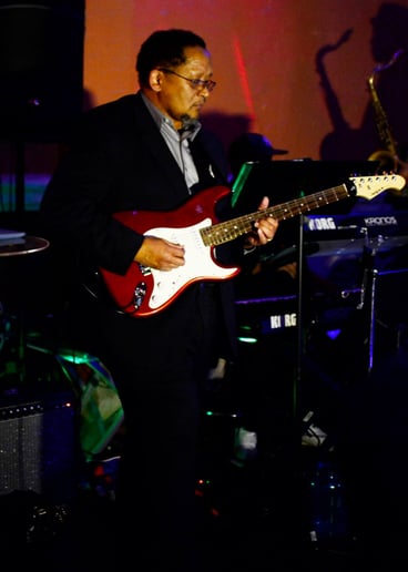 Gallery photo 1 of Chris Knox Sr - Guitarist
