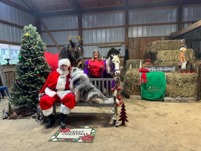 Gallery photo 16 of Chris Kringle Johnston