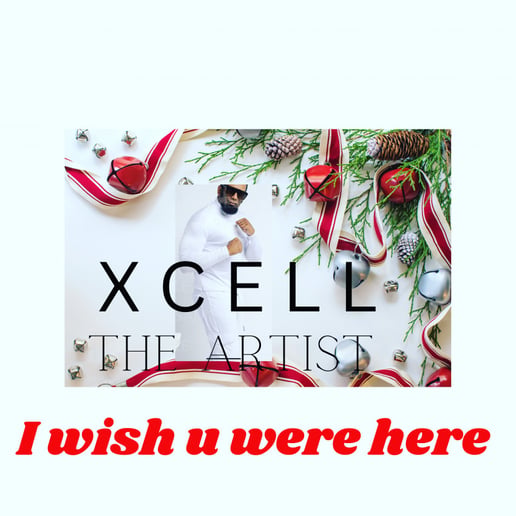 Gallery photo 2 of Xcell the Artist