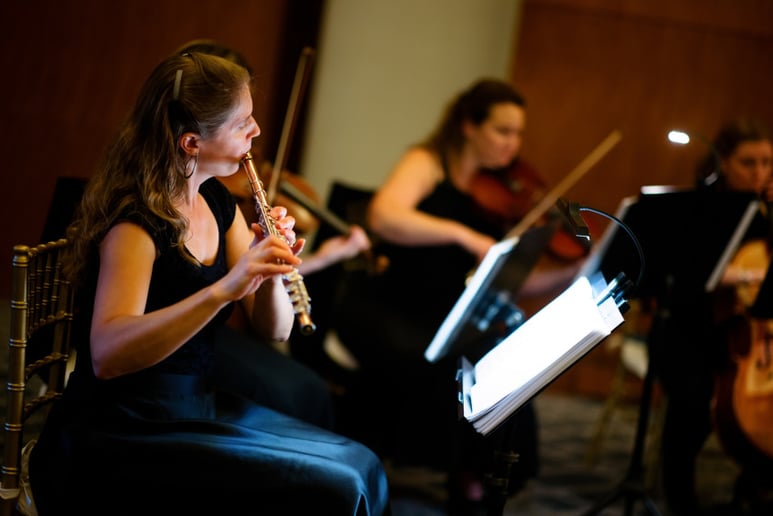 Gallery photo 4 of Flute and Strings by Christen Stephens