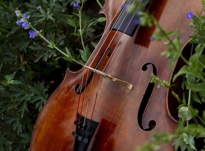 Gallery photo 3 of Christina the Cellist