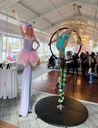 Gallery photo 10 of Christine Morano: Aerialist & Dancer