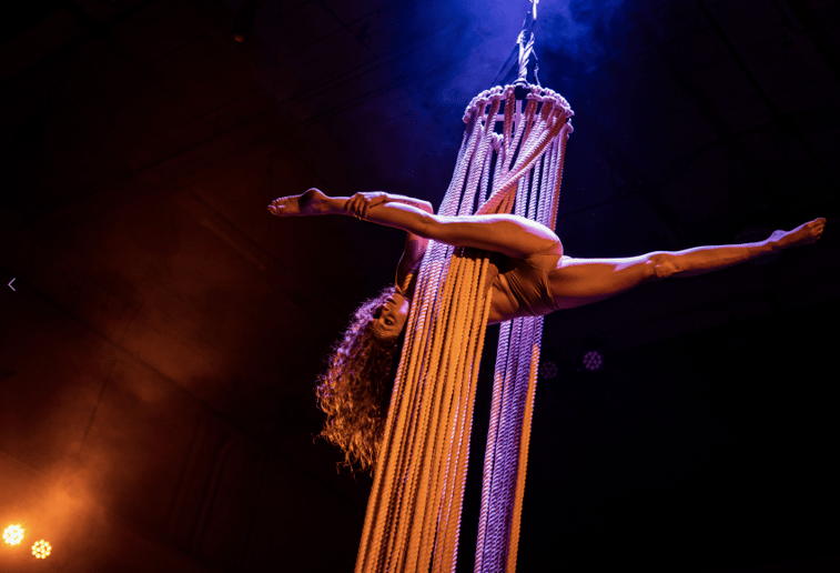 Gallery photo 4 of Christine Morano: Aerialist & Dancer