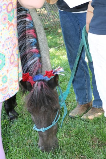 Gallery photo 3 of Christine Wilson Birthday Pony Parties