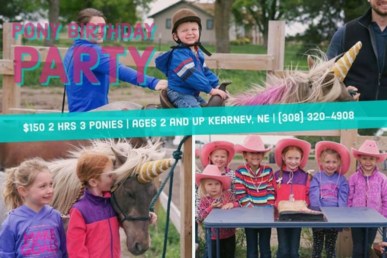 Gallery photo 6 of Christine Wilson Birthday Pony Parties