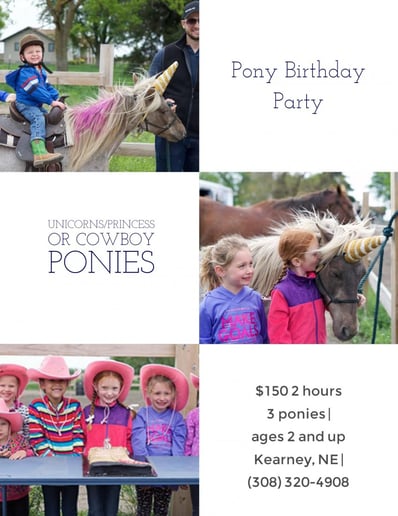 Gallery photo 7 of Christine Wilson Birthday Pony Parties