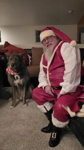 Gallery photo 1 of Christmas Chronicles Dave