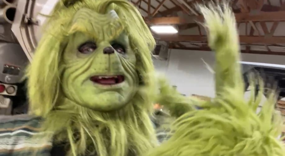 Gallery photo 6 of Christmas Grinch Character