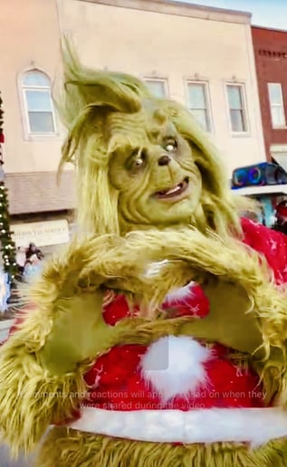 Gallery photo 4 of Christmas Grinch Character