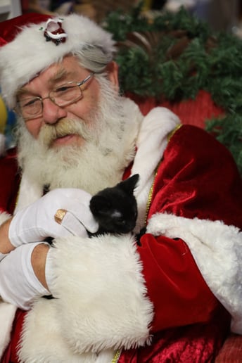 Gallery photo 9 of Christmastime Tidings Santa Services