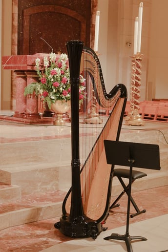 Gallery photo 5 of Aria Li, Church, Wedding, Orchestra Harpist