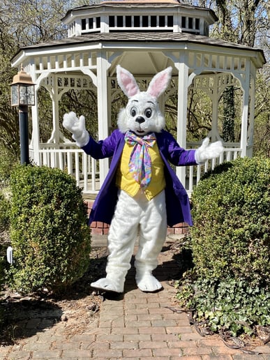 Gallery photo 1 of Cincy Easter Bunny