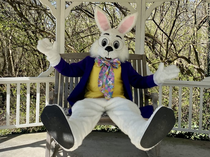 Gallery photo 2 of Cincy Easter Bunny