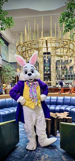 Gallery photo 3 of Cincy Easter Bunny