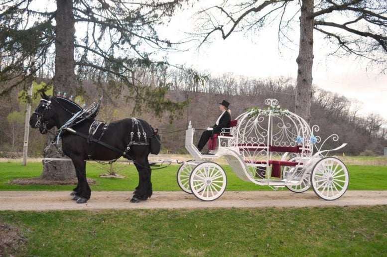 Gallery photo 1 of Cinderella Carriage LLC
