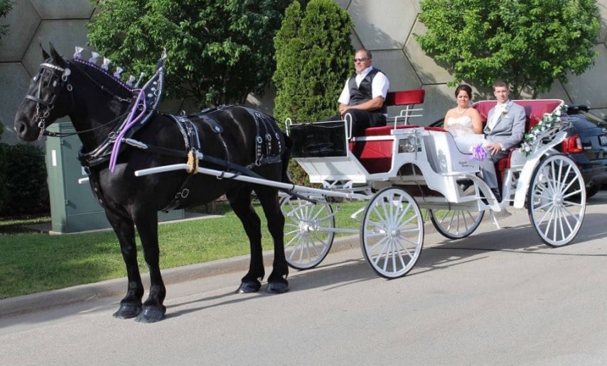 Gallery photo 2 of Cinderella Carriage LLC