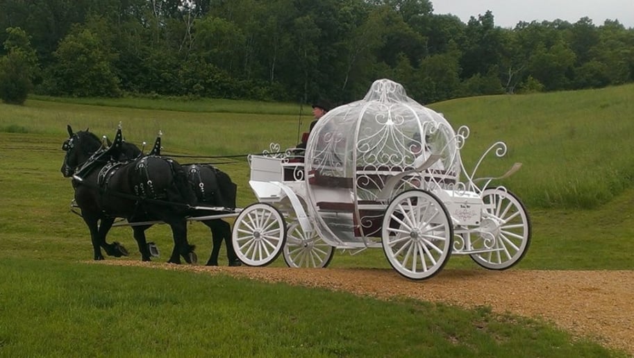 Gallery photo 3 of Cinderella Carriage LLC