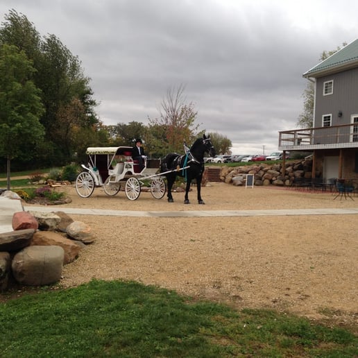 Gallery photo 4 of Cinderella Carriage LLC