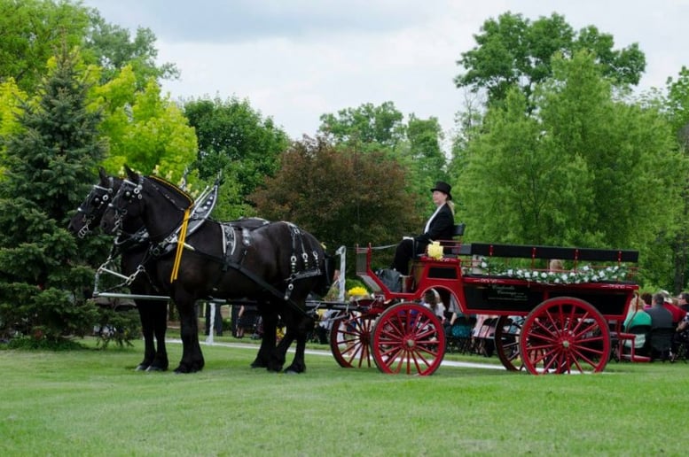 Gallery photo 5 of Cinderella Carriage LLC