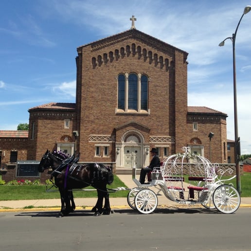 Gallery photo 7 of Cinderella Carriage LLC