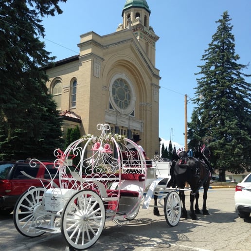 Gallery photo 8 of Cinderella Carriage LLC
