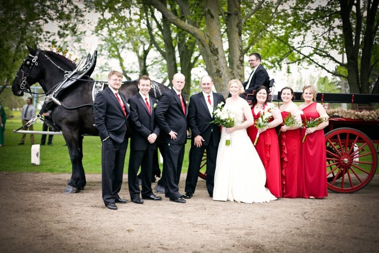 Gallery photo 9 of Cinderella Carriage LLC