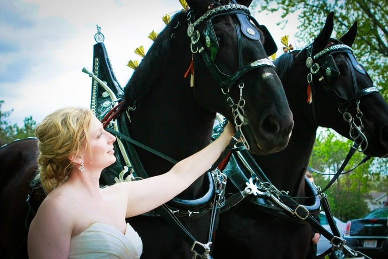 Gallery photo 10 of Cinderella Carriage LLC