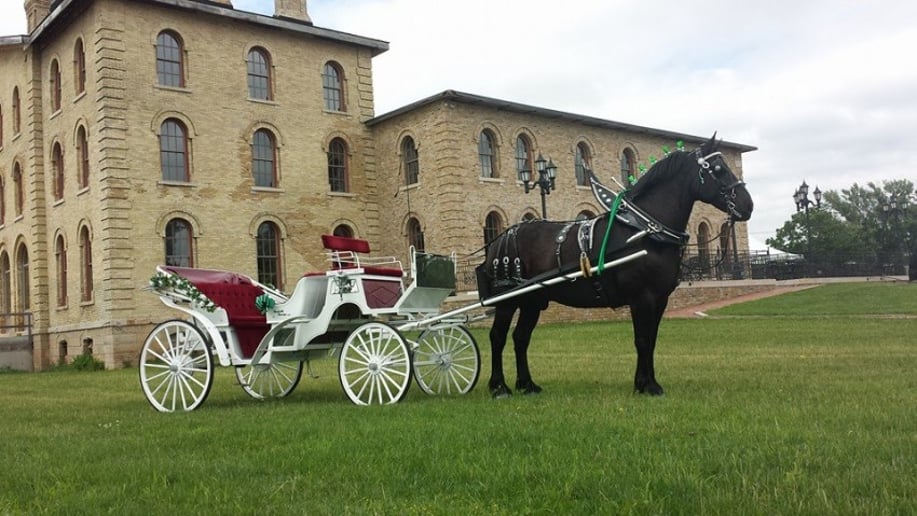 Gallery photo 11 of Cinderella Carriage LLC