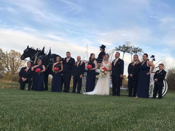 Gallery photo 12 of Cinderella Carriage LLC