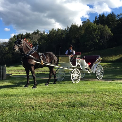 Gallery photo 13 of Cinderella Carriage LLC