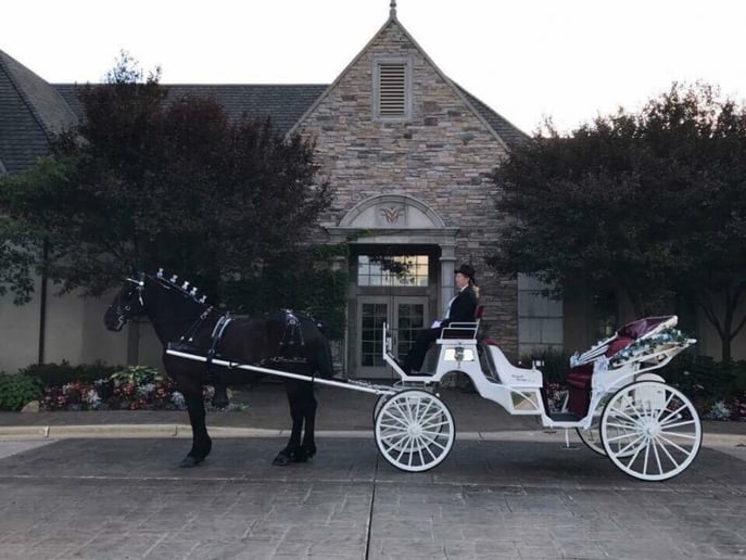 Gallery photo 14 of Cinderella Carriage LLC