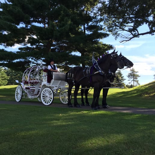 Gallery photo 15 of Cinderella Carriage LLC