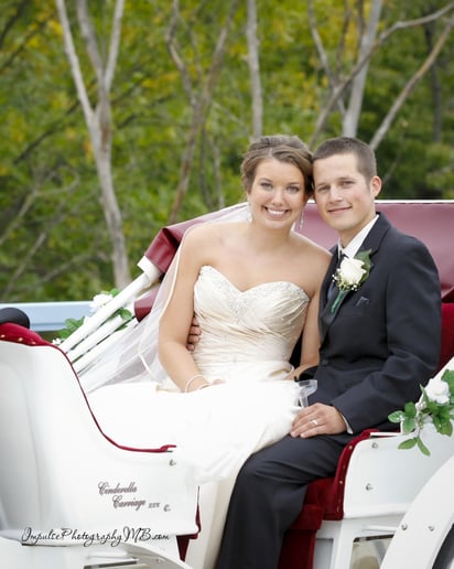 Gallery photo 16 of Cinderella Carriage LLC