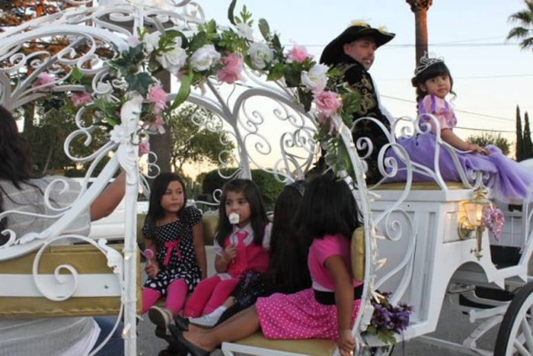 Gallery photo 7 of Cindy Cinderella Carriages