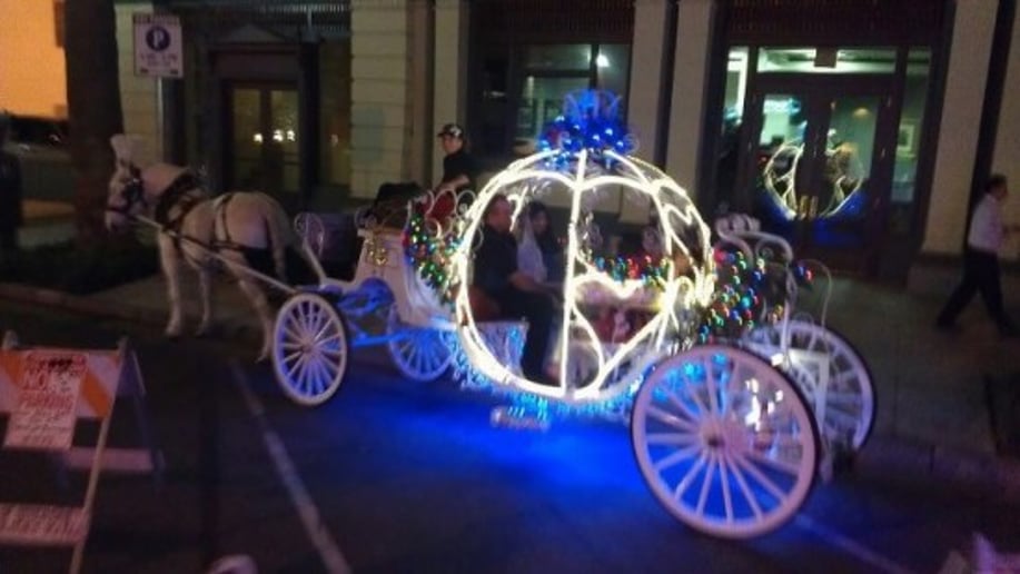 Gallery photo 2 of Cindy Cinderella Carriages