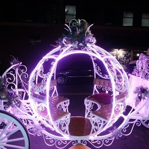Gallery photo 3 of Cindy Cinderella Carriages