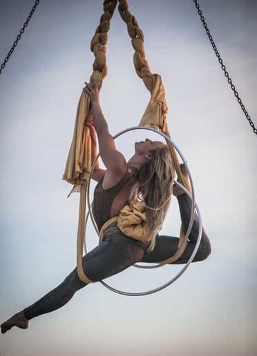 Gallery photo 1 of Circus with Purpose