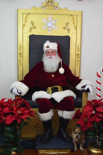 Gallery photo 5 of Circle City Santa