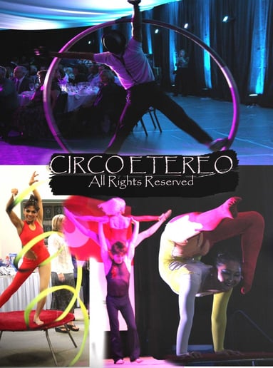 Gallery photo 43 of Circo Etereo