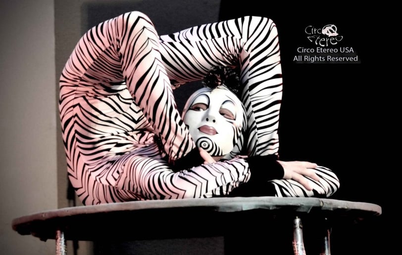 Gallery photo 8 of Circo Etereo