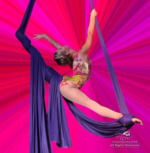 Gallery photo 47 of Circo Etereo