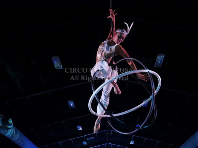 Gallery photo 2 of Circo Etereo