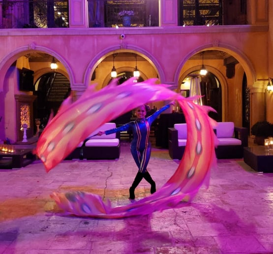 Gallery photo 7 of Circo Etereo