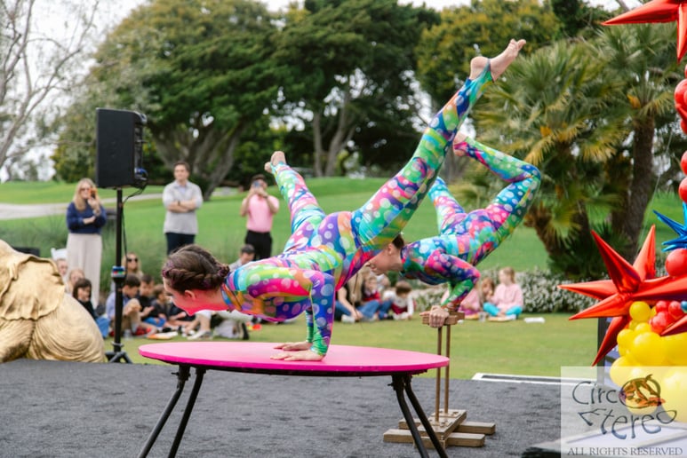 Gallery photo 57 of Circo Etereo